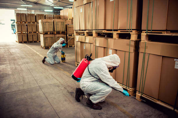 Best Termite Control Services  in El Dorado Hills, CA