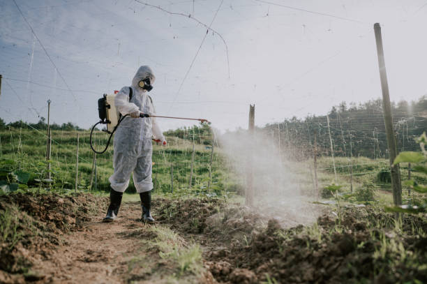 Best Best Pest Control Companies  in El Dorado Hills, CA