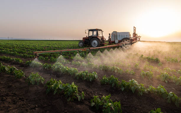 Pest Prevention Services in El Dorado Hills, CA