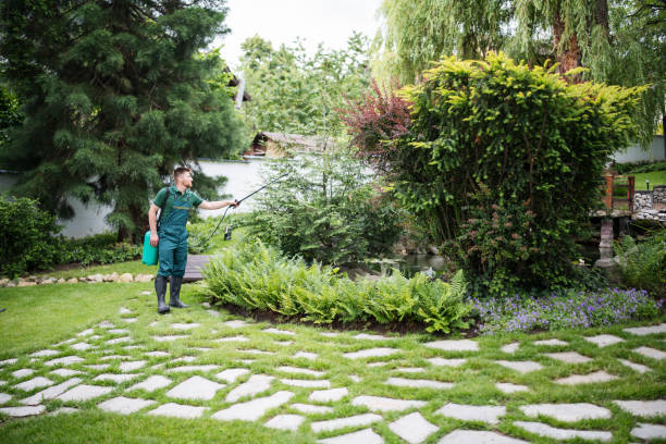 Best Rat Extermination Near Me  in El Dorado Hills, CA