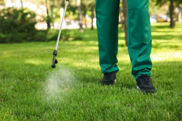 Best Pest Inspection Near Me  in El Dorado Hills, CA