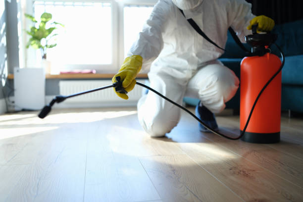 Best Bed Bug Extermination  in El Dorado Hills, CA