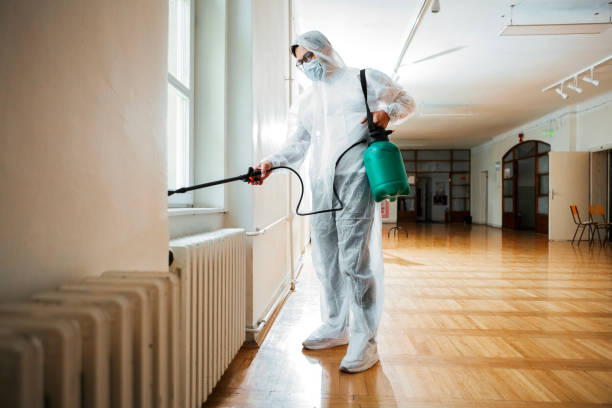 Best Ant Control Services  in El Dorado Hills, CA
