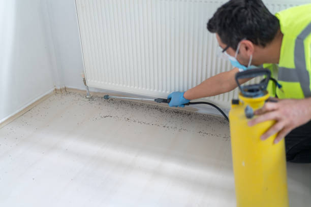 Best Wasp Removal Services  in El Dorado Hills, CA